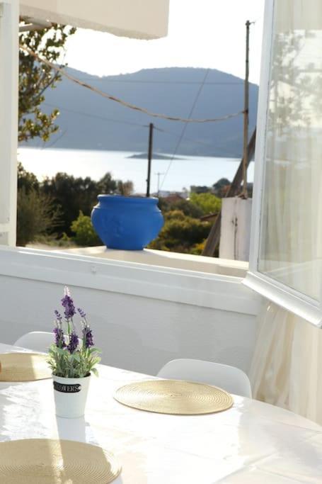 White Villa In Olive Trees And Seaview To Panagia Almiropótamos 외부 사진