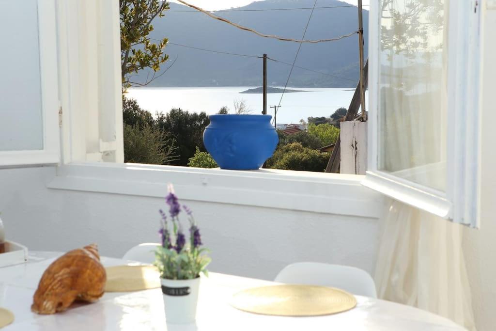 White Villa In Olive Trees And Seaview To Panagia Almiropótamos 외부 사진