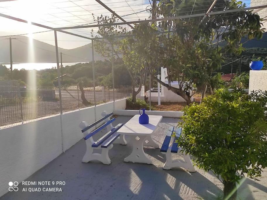 White Villa In Olive Trees And Seaview To Panagia Almiropótamos 외부 사진