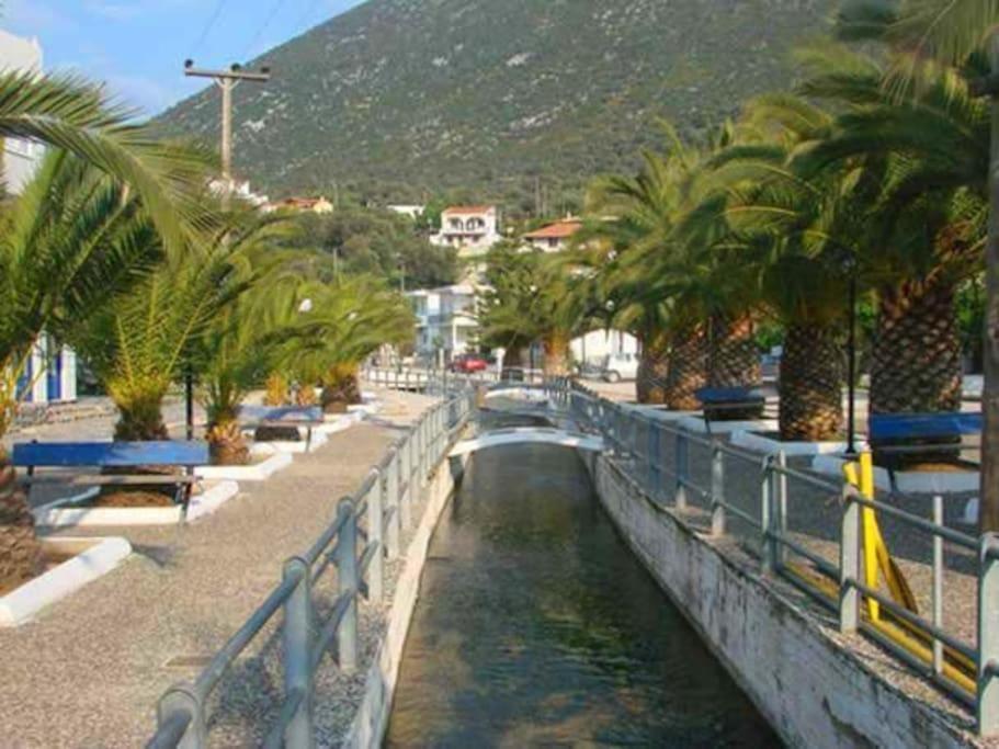 White Villa In Olive Trees And Seaview To Panagia Almiropótamos 외부 사진