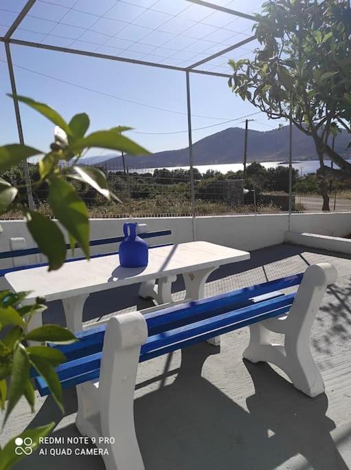 White Villa In Olive Trees And Seaview To Panagia Almiropótamos 외부 사진