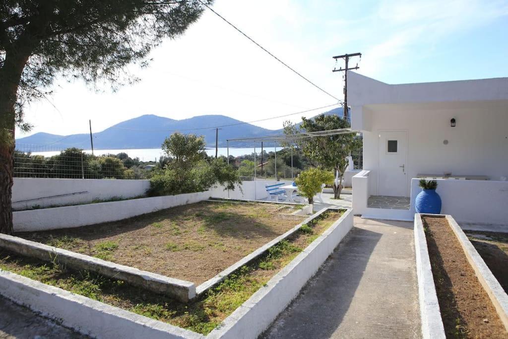 White Villa In Olive Trees And Seaview To Panagia Almiropótamos 외부 사진
